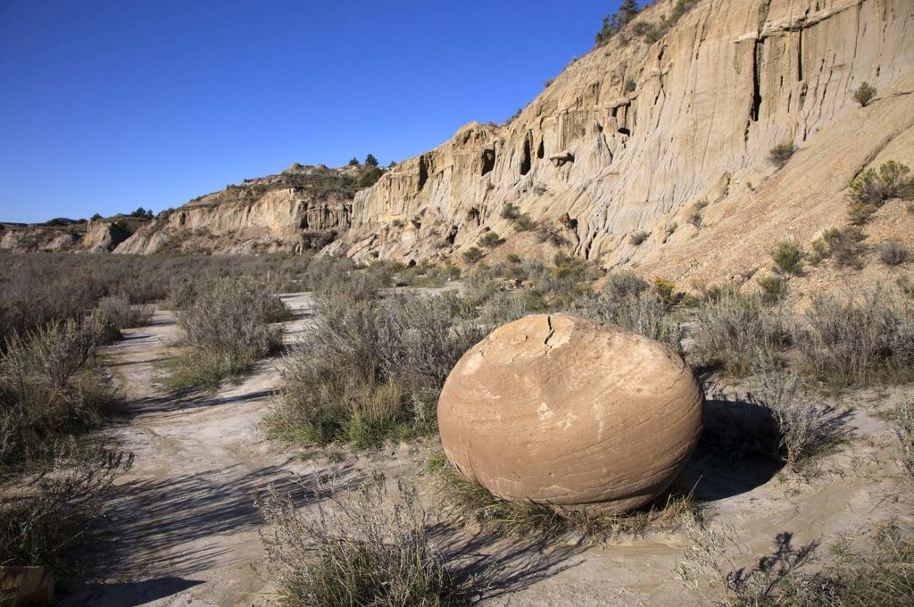 This is a "cannonball concretion" according to the sign. 