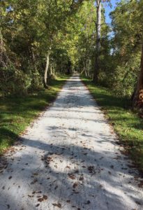 towpathtrail