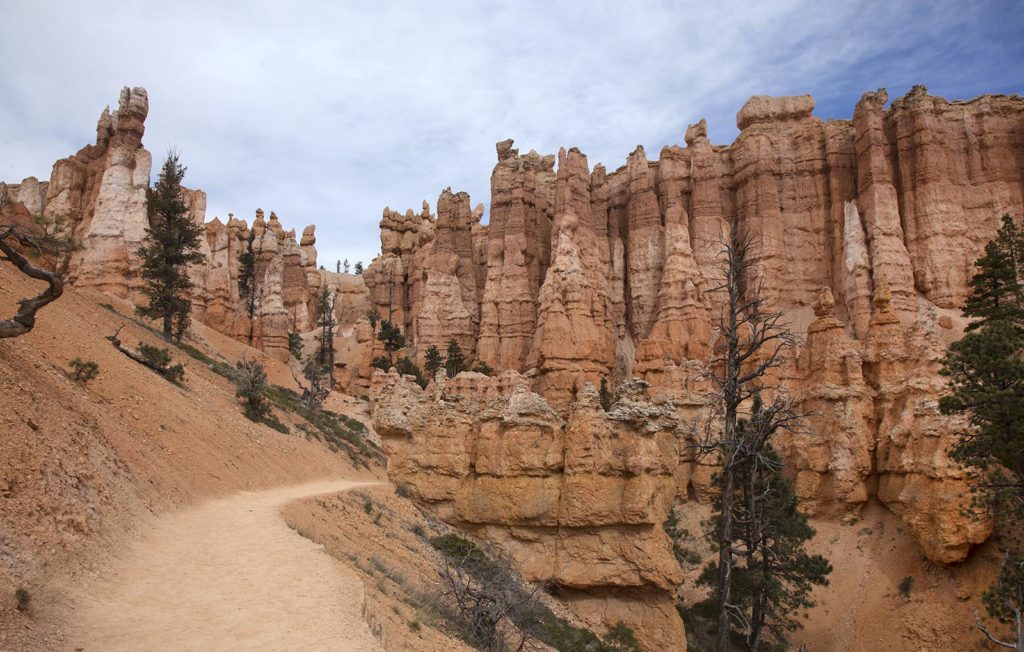 I never tire of looking at hoodoos. The photo looks more orange than they were. In reality, they were shades of blush pink, light peach, creamy beige, and some maroon.