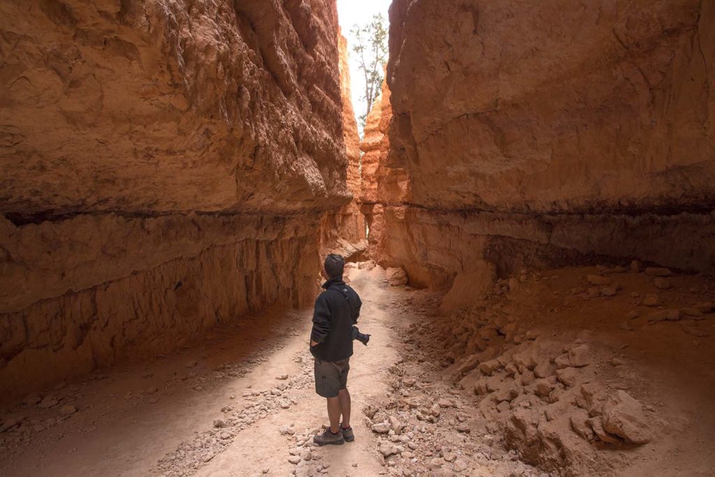 Part of the trail took us through a narrow space between the bases of huge hoodoos. Look at the pretty pink dirt!