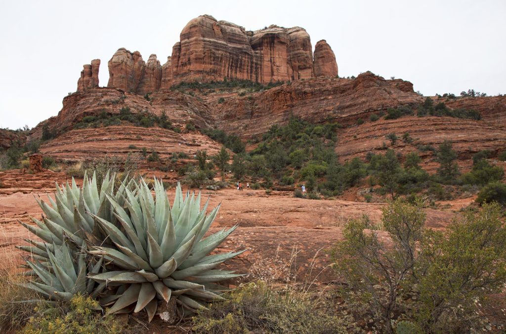 If you look closely, you can see the tiny people hiking up the face of Cathedral Rock. The end point of the hike is the saddle between the spires on the left.