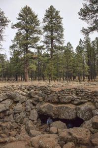 The entrance to the cave was little more than rocky hole in the forest floor.