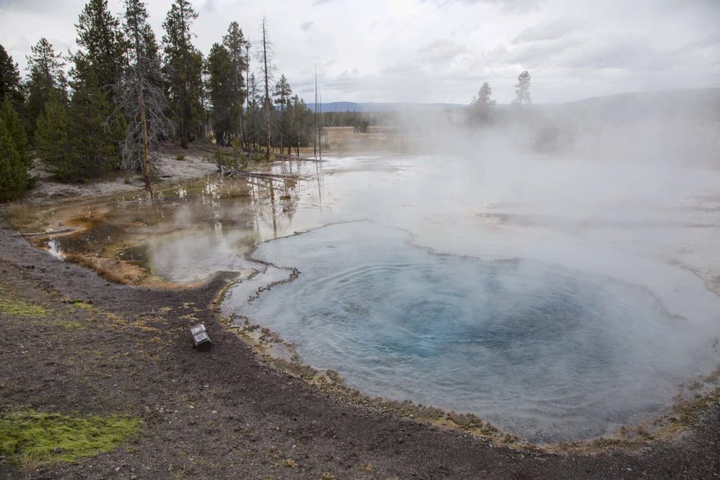 The water is not only hot, but acidic also. The bottoms of the tree trunks are bleached from the acid.