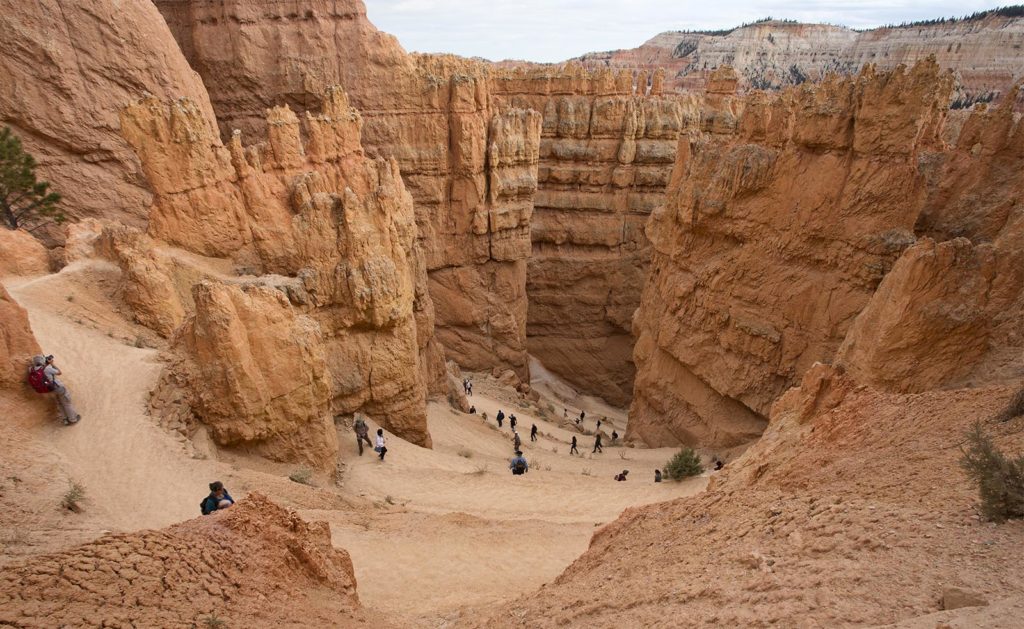 Here you see the dozen or more switchbacks that lead hikers to the canyon floor. And yes, there are a dozen or more that lead hikers back out. Stair Master has nothing on Bryce!