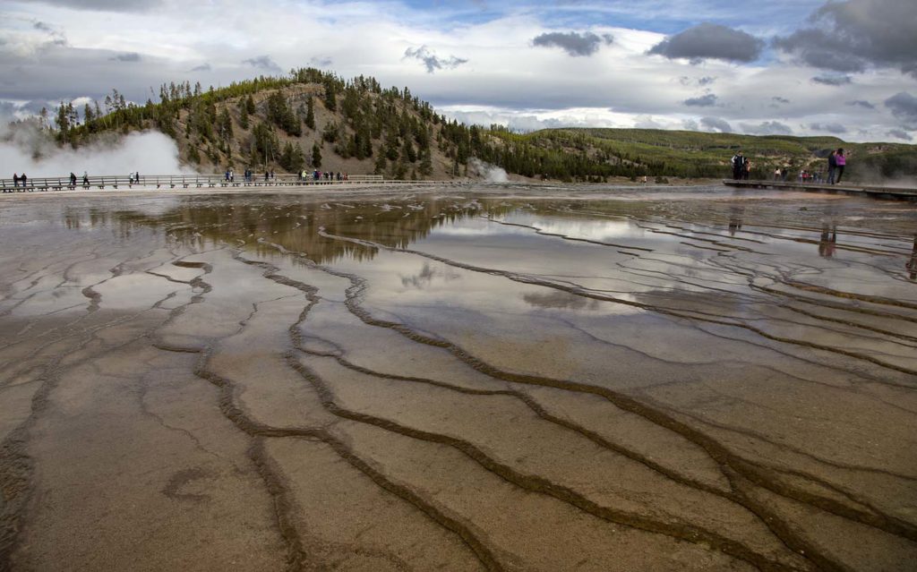 The entire area around the spring is covered in these terraces. They are full of "thermophiles," organisms that like the heat and acidic water!