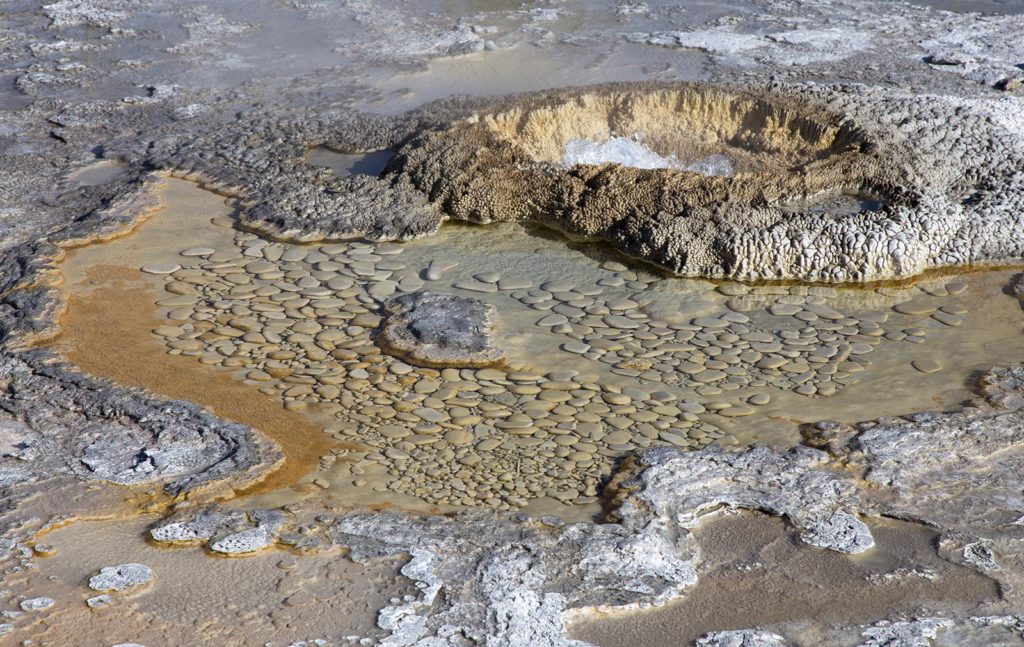 The Aurum Geyser was pretty cool. You can see the water boiling inside the cone. I'm not sure if the objects in pool are actual rocks or if they are some sort of sediment.