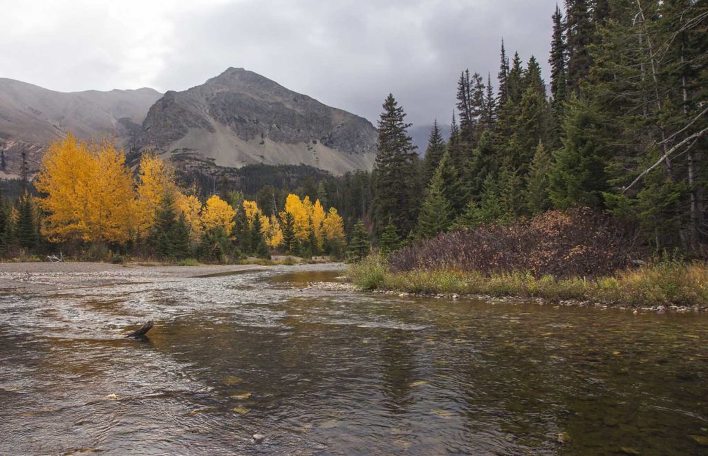 Look at the beautiful fall colors! We had to cross this river to get to the falls.