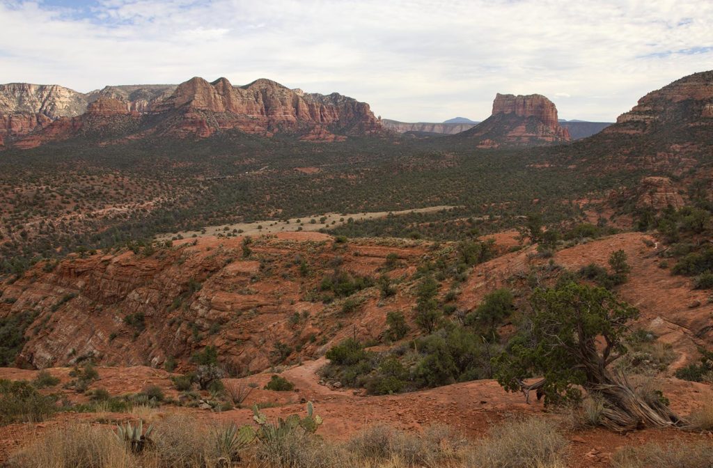 One of the views from the top of the rock. The red sandstone is part of the Schnebly Hill Formation and only exists in this area of the world. 