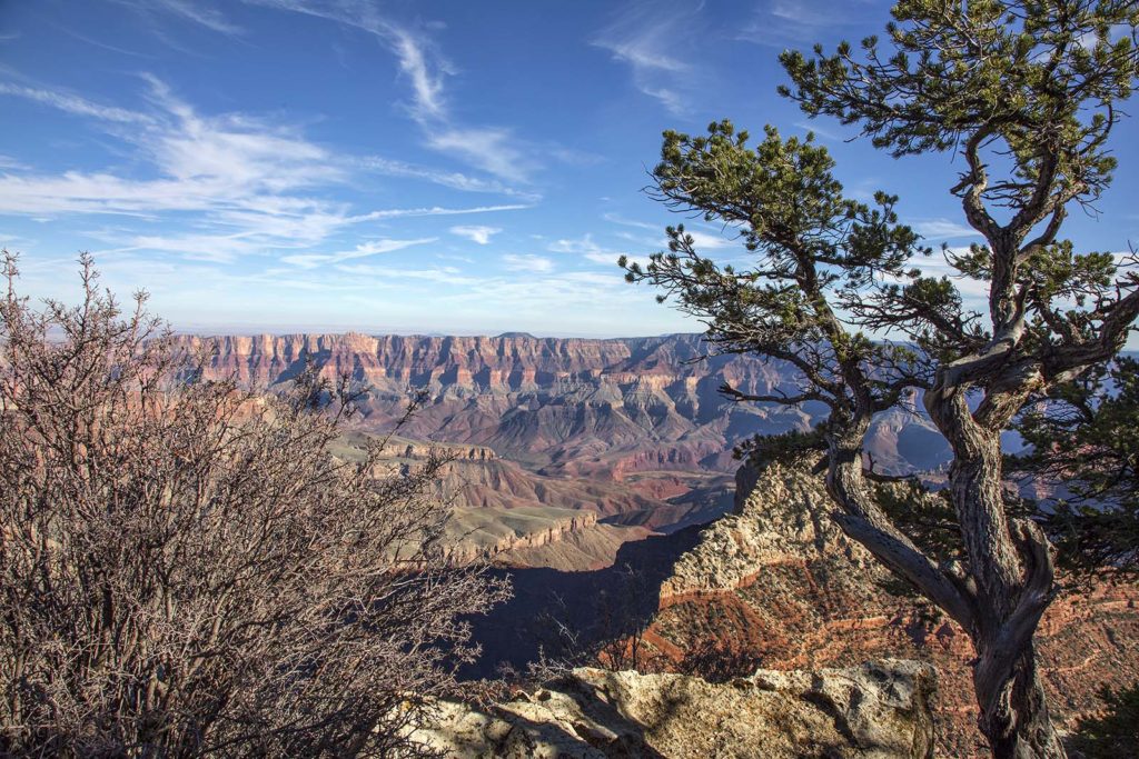 A view from one of the North Rim overlooks. This area was better than most, visibility-wise.