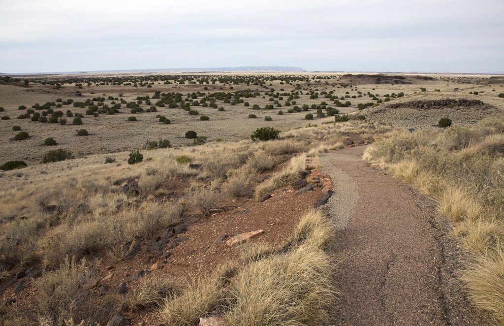 This is a view of the grasslands from one of the dwellings. 