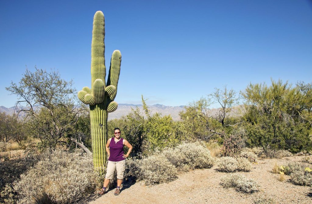 20161115_saguaro_lori