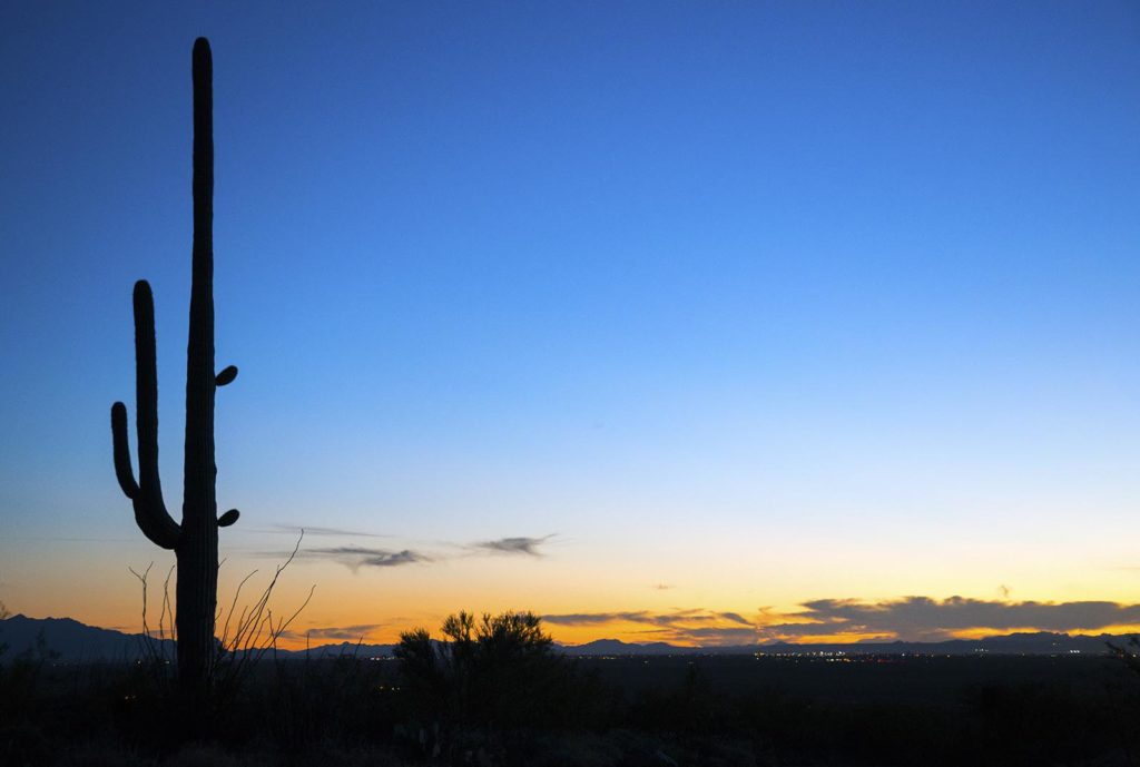 20161115_saguaro_sunset