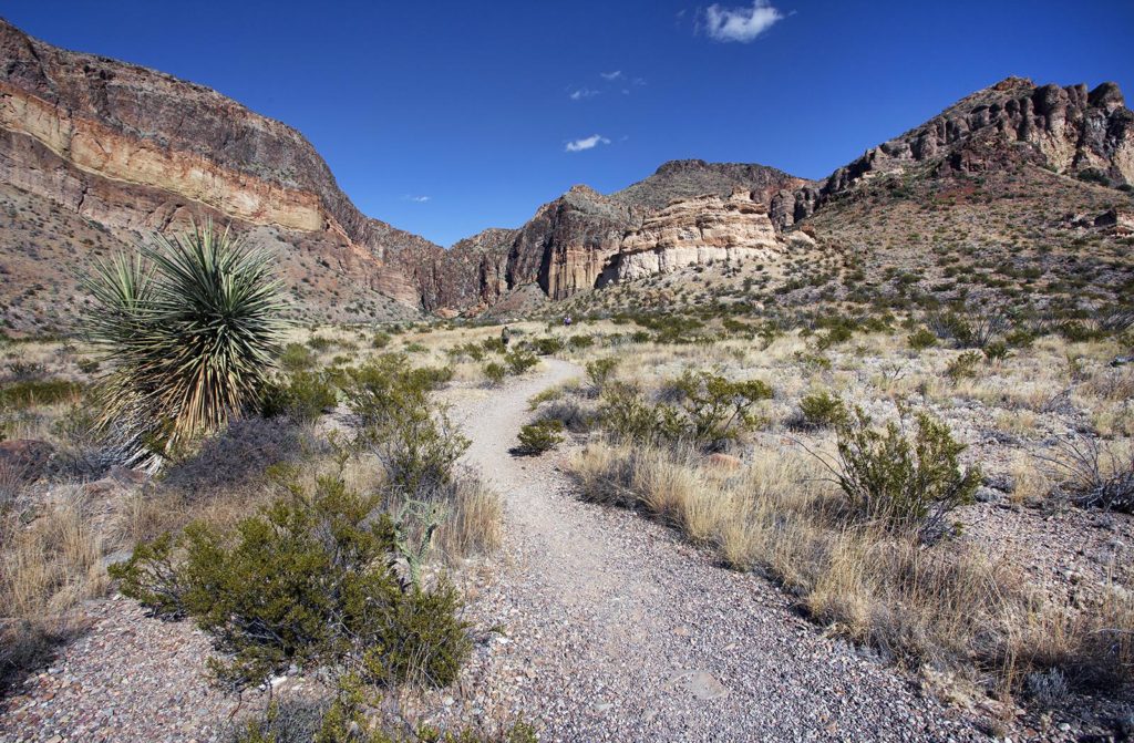 Apparently, as we learned from some very loud bystanders, this trail is bordered by some very aggressive grass that is just as prickly as cactus. It sticks into your skin with little barbs. Sounds inviting, doesn't it?