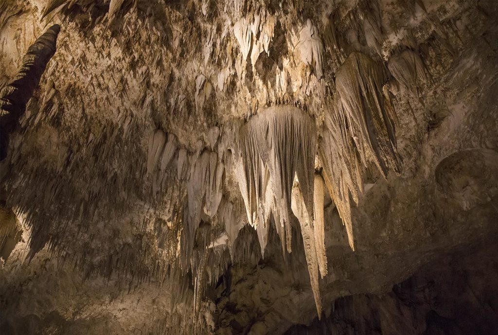 This formation is called the Chandelier. It's impossible to tell in this photo, but the large stalactites looked to be 10-15 feet long.