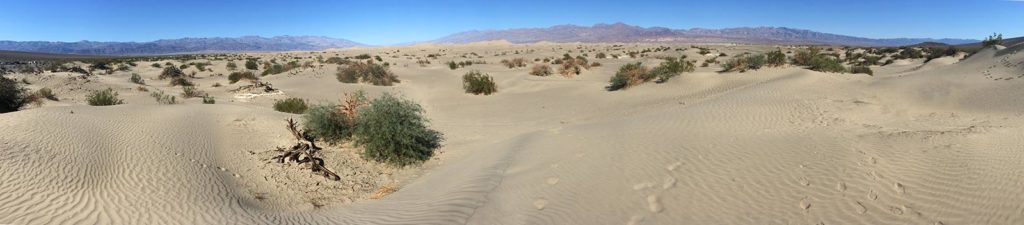 A 180-degree view of the Mesquite Dunes.