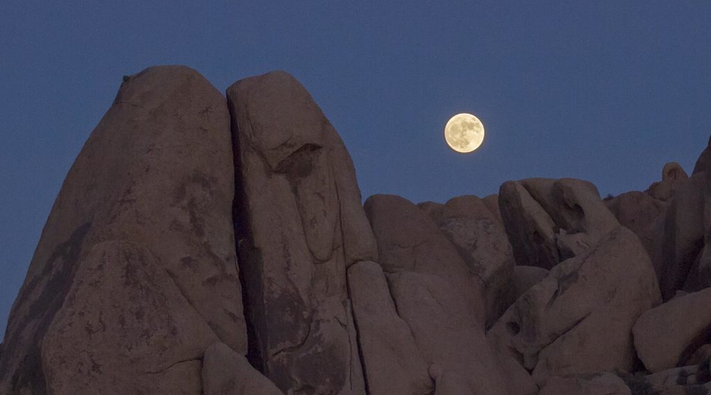 My attempt at a moon photo. Look how yellow it is!