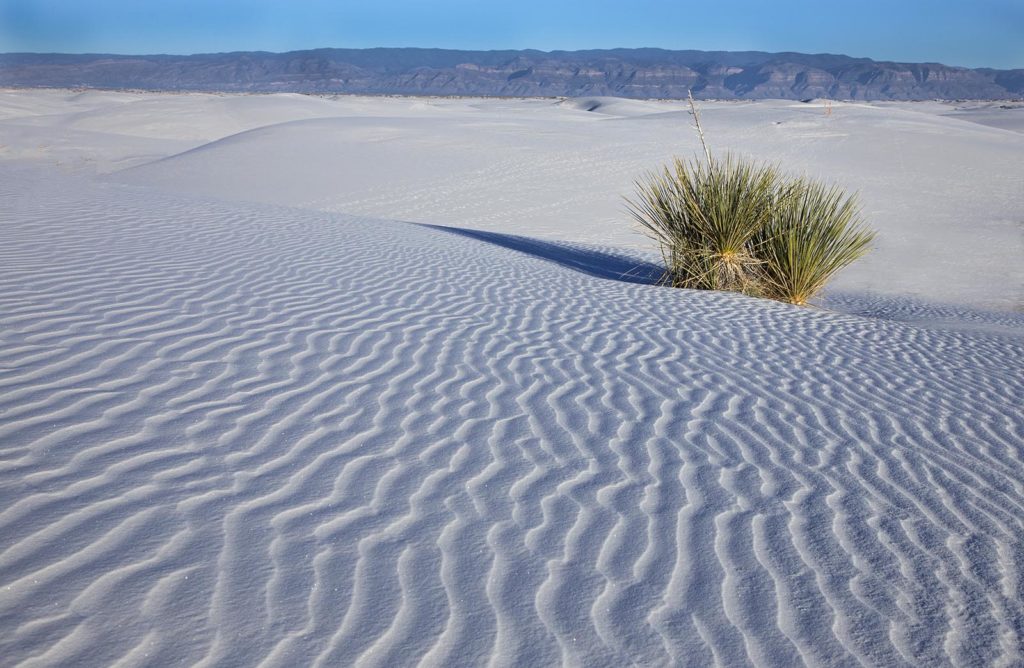 The dunes are full of interesting patterns like this caused by the wind.