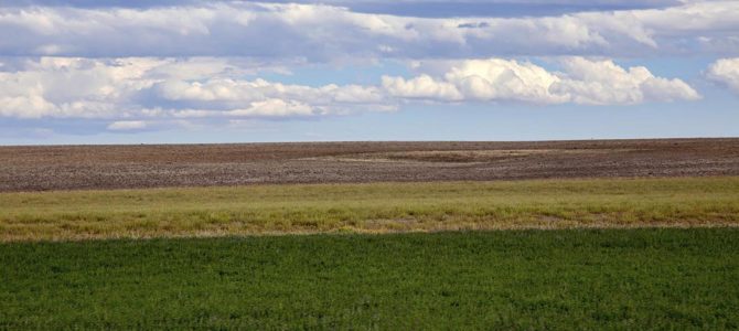 Scenes from the Montana roadside