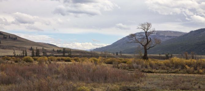 Lovely Lamar and magnificent Mammoth Hot Springs