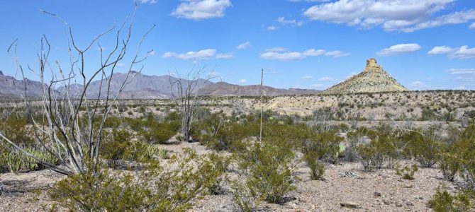 Big Bend National Park is big (surprise!)